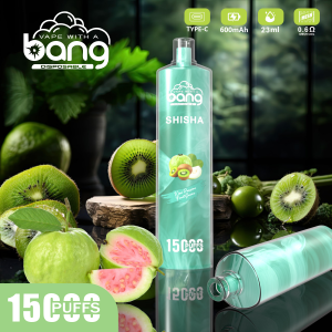 Bang SHISHA 15000 puff Disposable Vapes - imagine 2