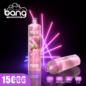 Bang SHISHA 15000 puff Disposable Vapes - imagine 3