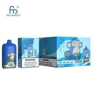 Blueberry Raspberry RandM Fumot Digital Box 12000 - Изображение 3