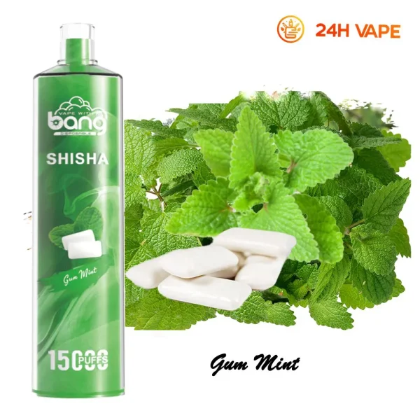 24H vape Bang shi sha 15000 soffi Gum Mint 24H vape Bang shi sha 15000 soffi Gum Mint