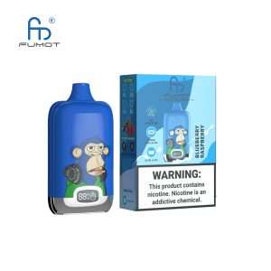 Blueberry Raspberry RandM Fumot Digital Box 12000 - Изображение 2