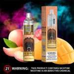 Pêche mangue RandM Tornado 7000 Vape Pen
