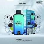 Blueberry Ice BANG 20000