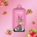 Strawberry Watermelon ELF BOX 12000 puffs review