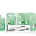 Lemon Mint Nejlepší Bang BC5000 vape