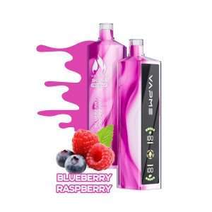 Blåbær hindbær Vapme Shisha Pro Max 20000 Puffs Engangs Vapes Pen Engros