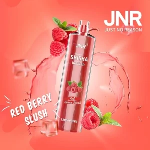 Red Berry Slush Shisha 12000 Puffs Prisbillig engangs-vape