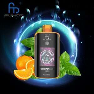 Randm Tornado 25000 Miami Mint Bærbar engangs vape til rejser