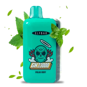 Polar Mint ElfBar GH 23000 pust